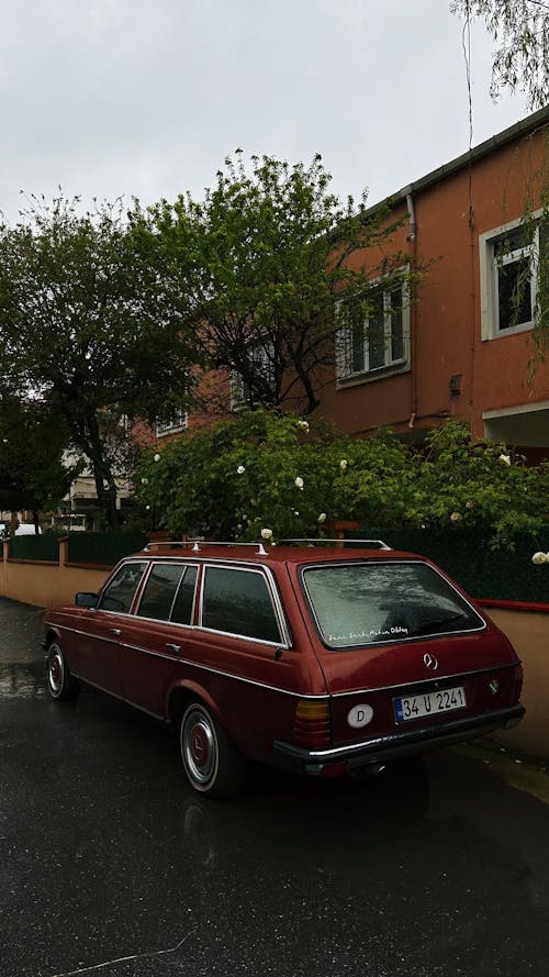 Kostenloses Stock Foto zu auto, bäume, fahrzeug