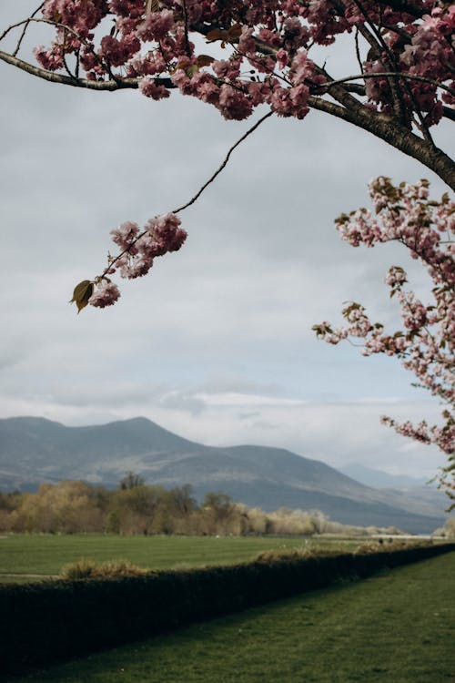 Overcast over Plains and Hills