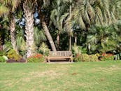 热带花园景色宁静，设有木凳，四周环绕着棕榈树和充满活力的植物