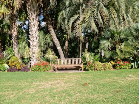 热带花园景色宁静，设有木凳，四周环绕着棕榈树和充满活力的植物