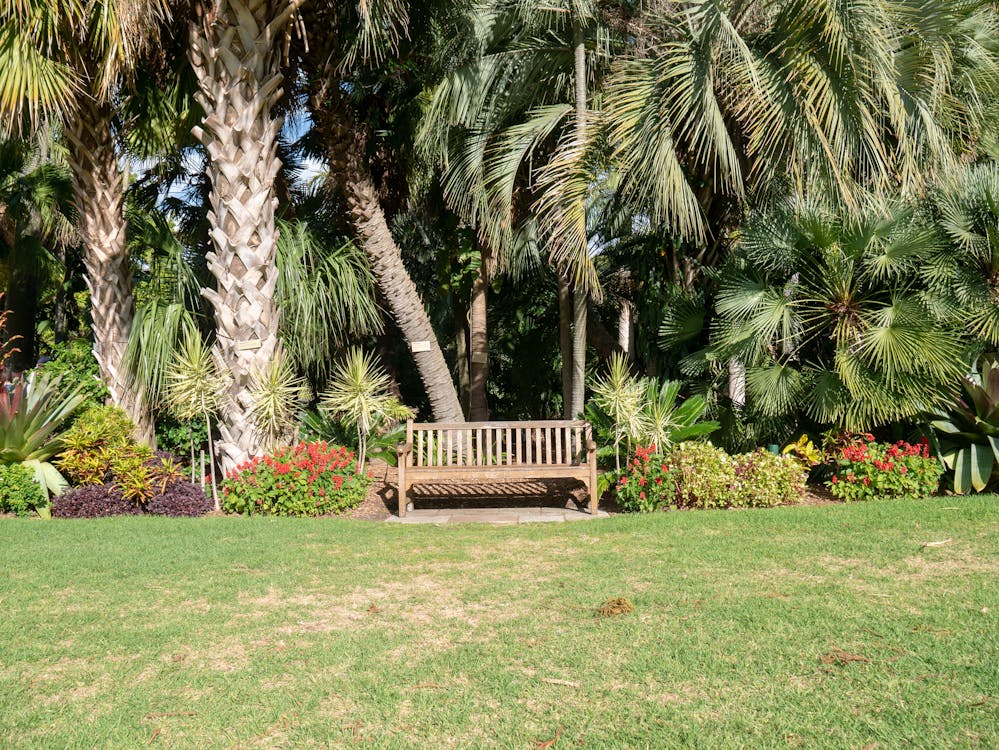 A wooden bench in a garden