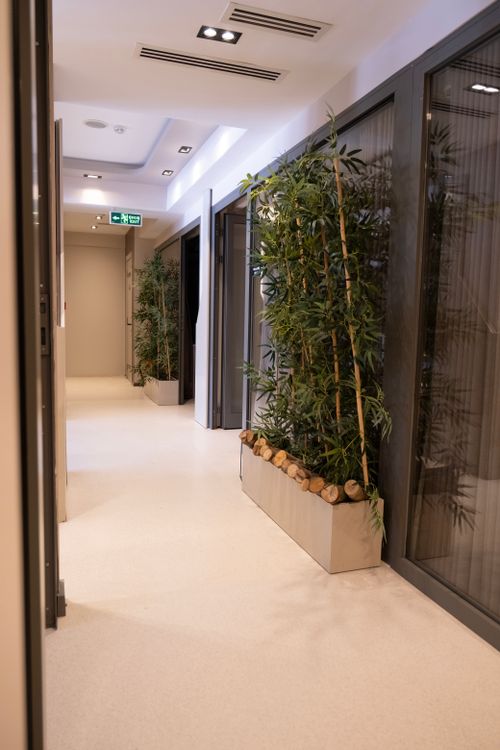 Free Sleek office hallway featuring lush indoor plants and modern lighting. Stock Photo