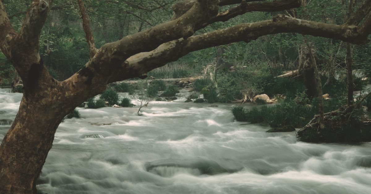 Distured Water Disturbed Water of Wild River · Free Stock Photo