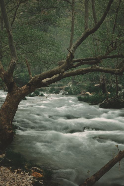 Distured Water Disturbed Water of Wild River · Free Stock Photo