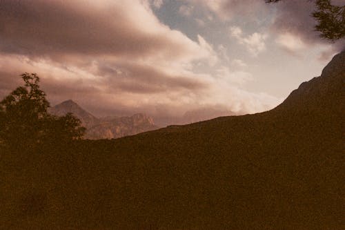 ポラロイド, 丘, 木の無料の写真素材