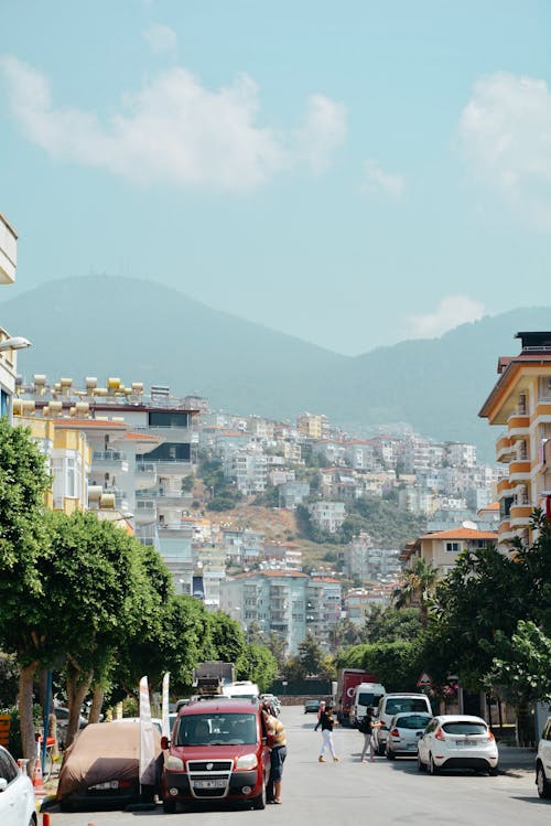 Imagine de stoc gratuită din arbori, autoturisme, clădiri