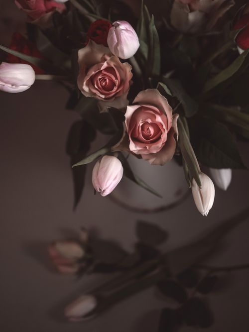 Free A close-up of pink roses in a vase, capturing their elegance and delicate beauty. Stock Photo