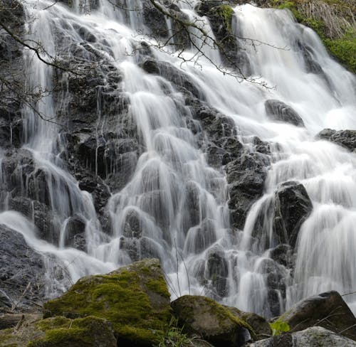 Fotos de stock gratuitas de cascada, larga exposición, movimiento borroso