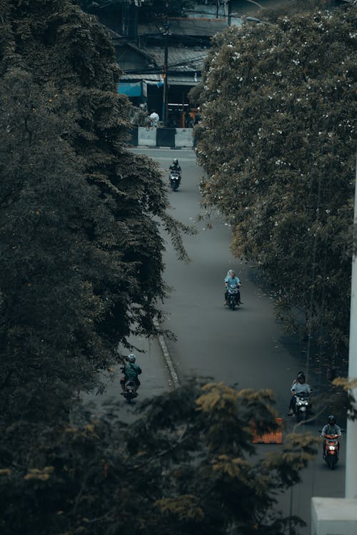 Imagine de stoc gratuită din arbori, călătorie, drum