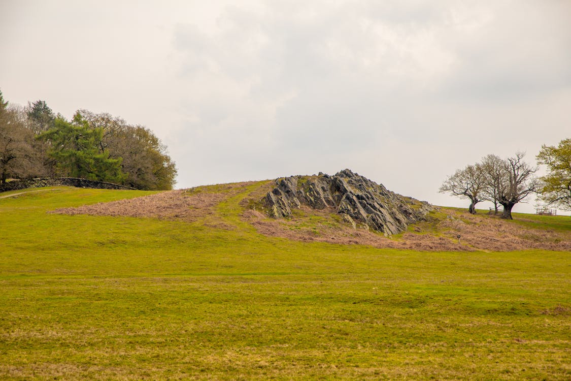 Rocks and Hill on Grassland