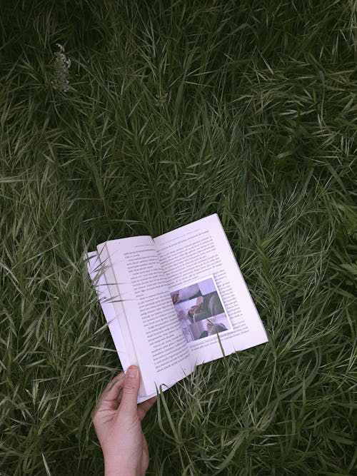 Person Reading Book on Grass