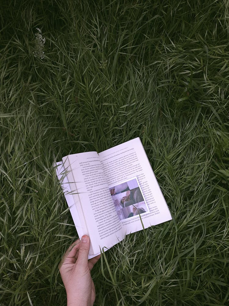 Person Reading Book On Grass