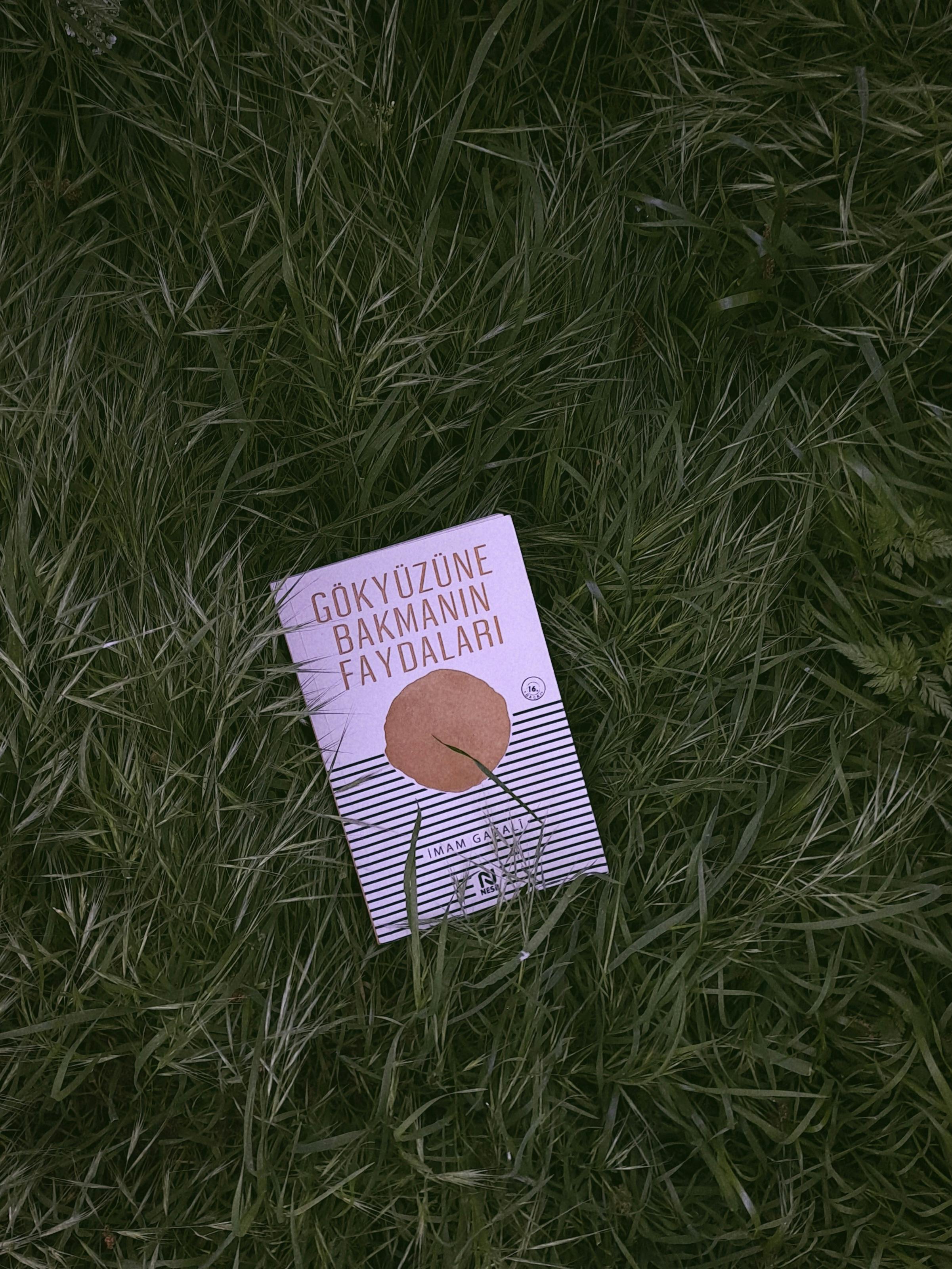 一群貪財的可悲人？🎤 彩券排隊潮引發熱議！