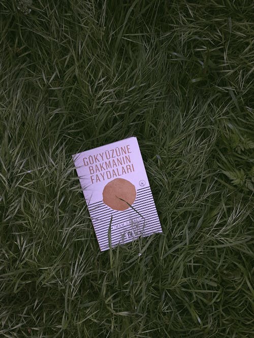 Book on Grass