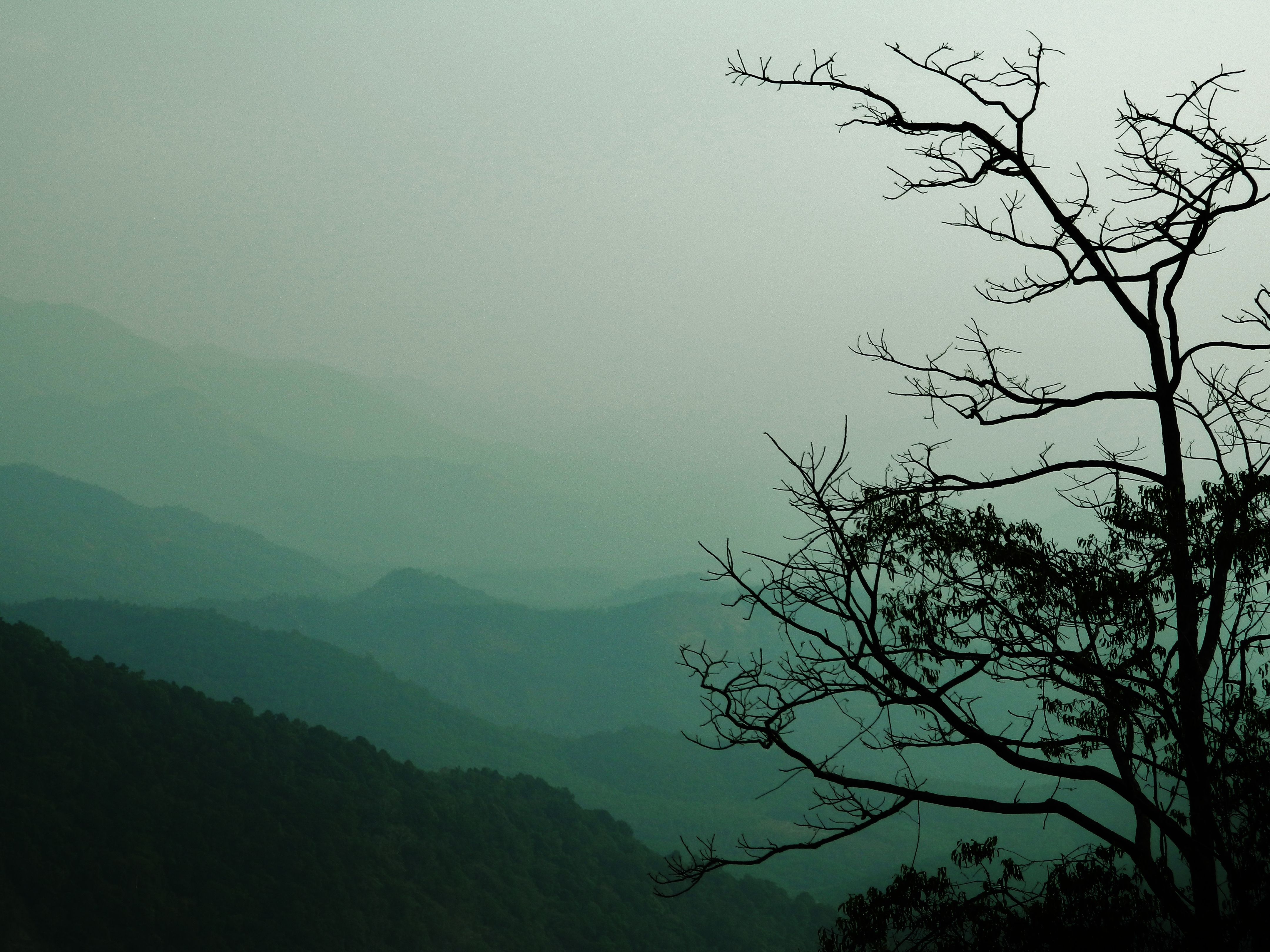 Sakleshpur with Family: Stays and Things to Do