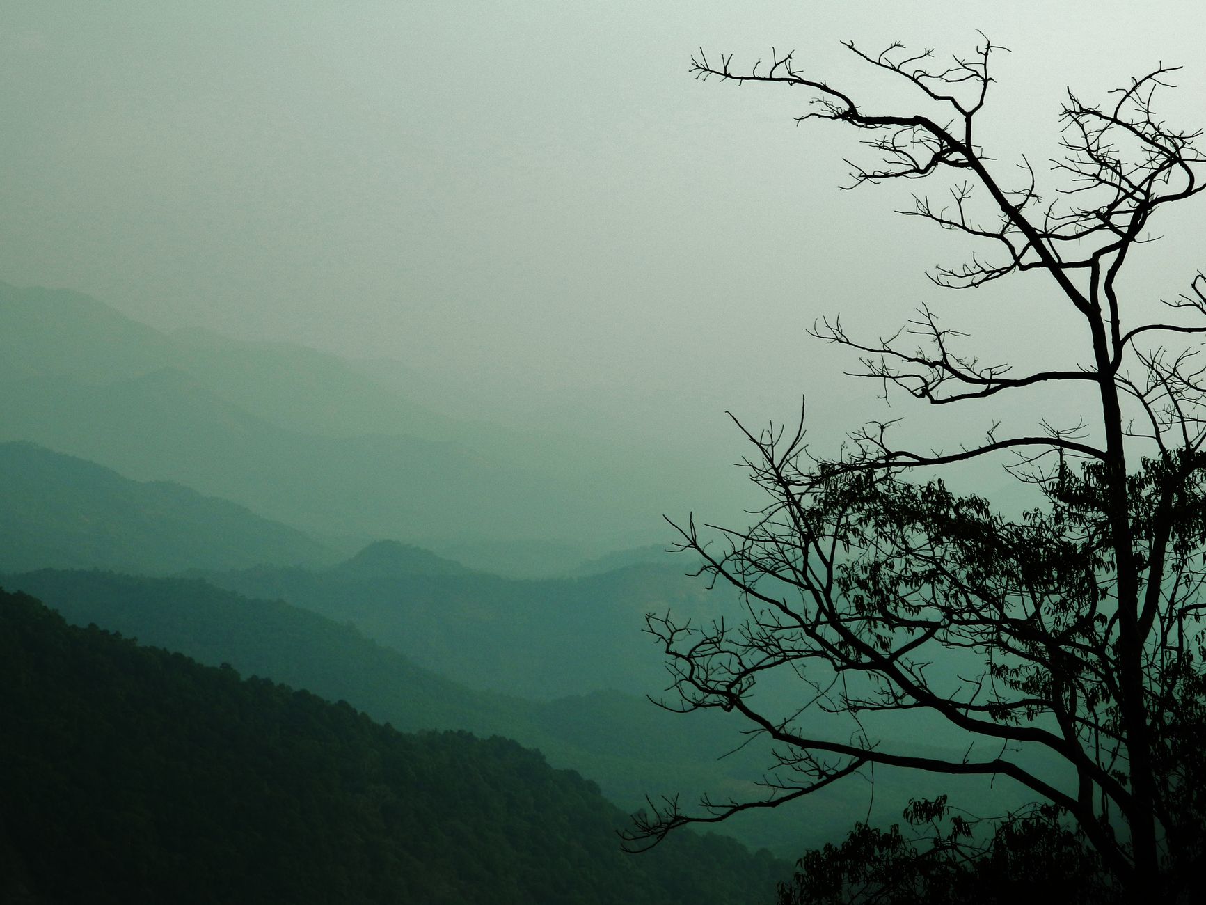 Sakleshpur with Family: Stays and Things to Do