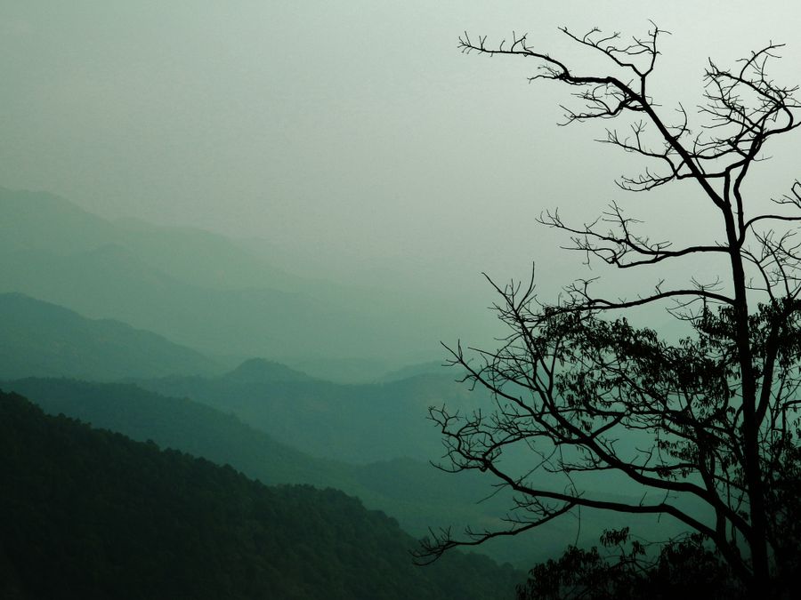 Coorg (Madikeri) photo 6