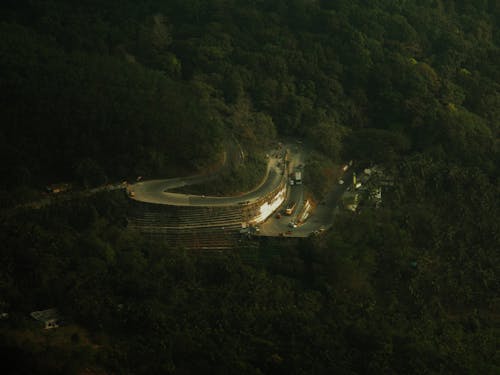 Fotos de stock gratuitas de arboles, bosque, carretera