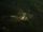wayanad