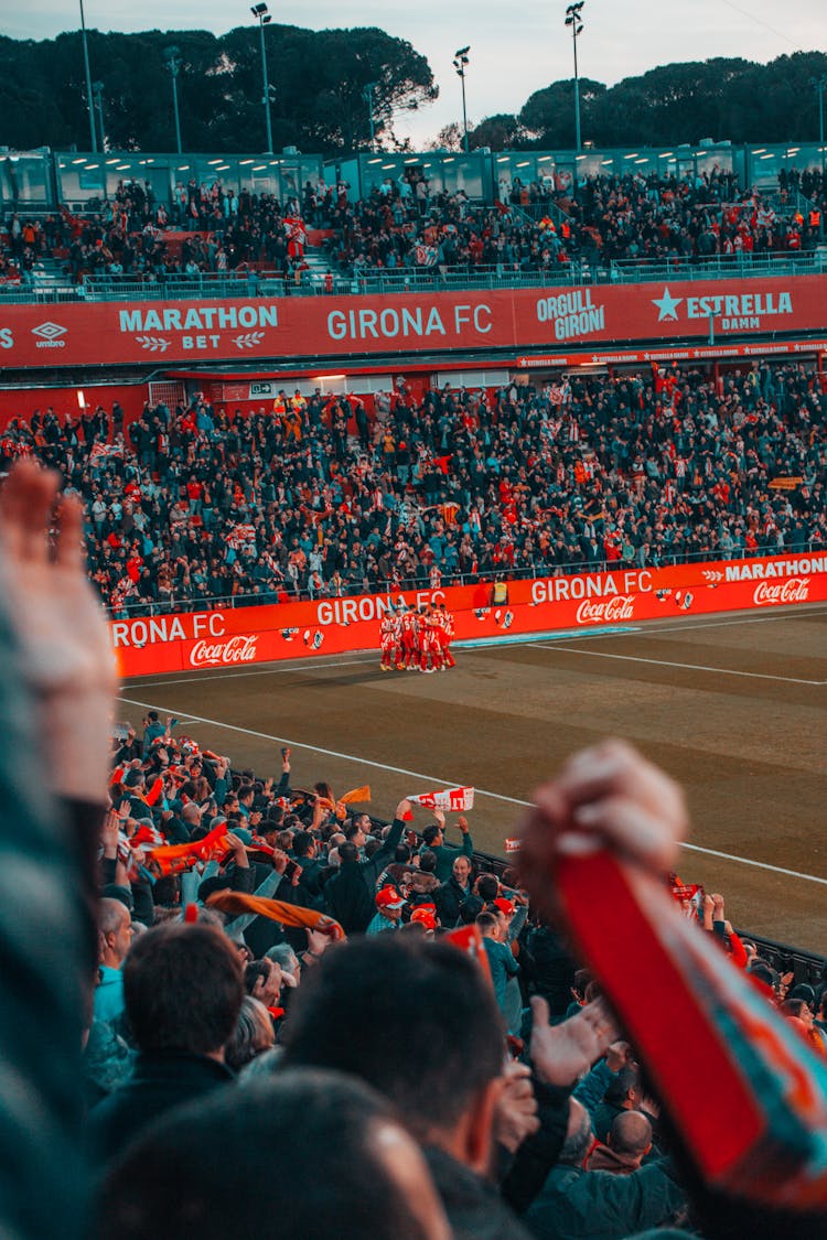 People Cheering During Soccer Match