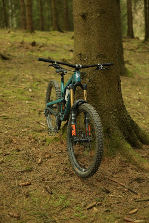 Mountain Terrain Bike in Forest