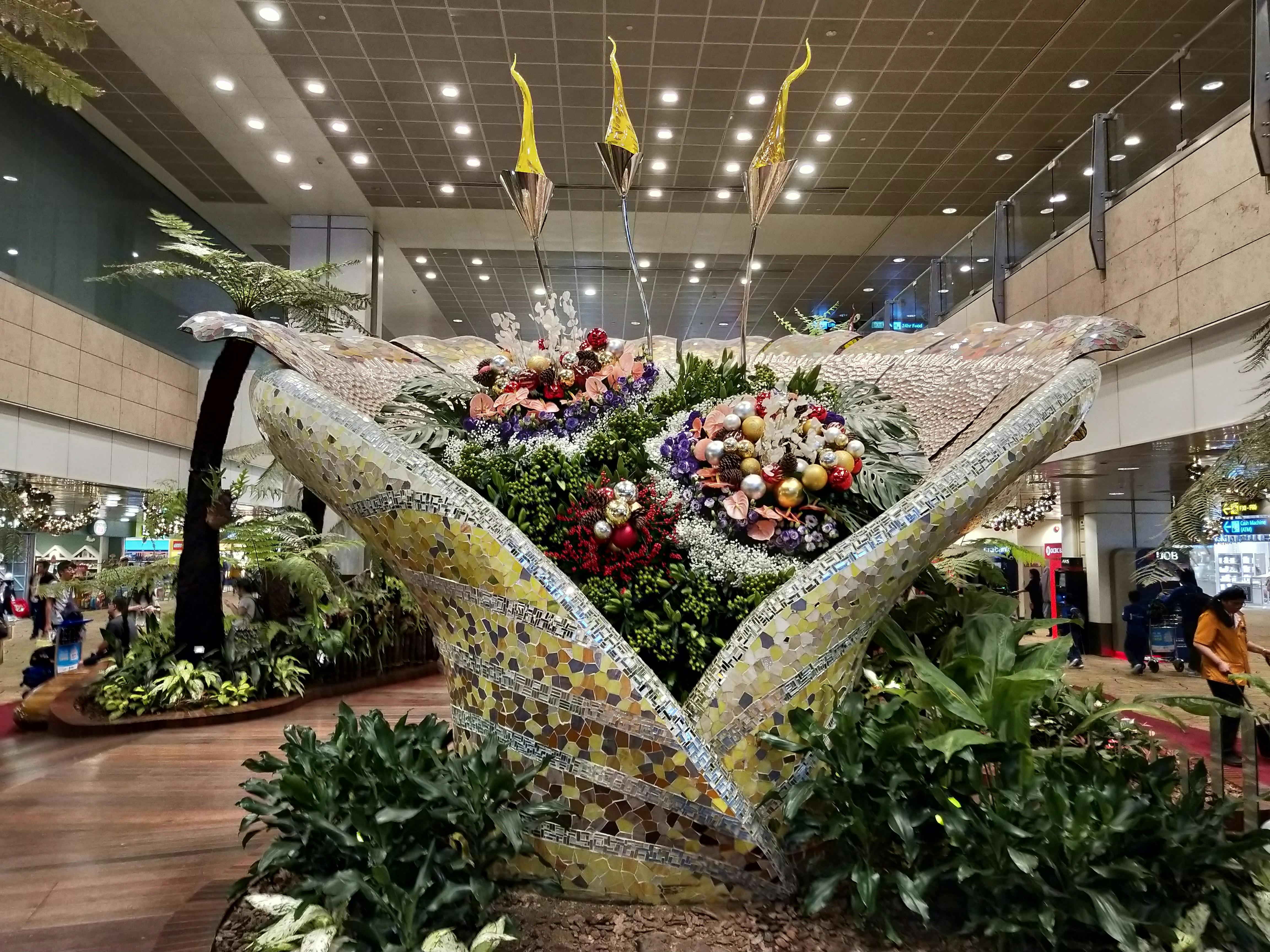 Kostenloses Foto zum Thema: indoor-garten