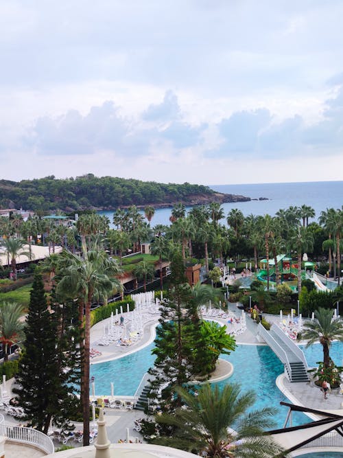 Swimming Pool among Palm Trees in Holiday Resort