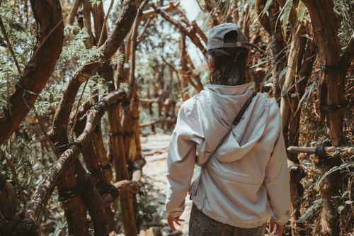 Free Person walking through a rustic wooden path surrounded by nature. Stock Photo