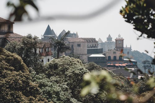 Trees and Town Buildings and Towers behind