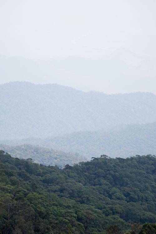 Free Tranquil aerial landscape of overlapping forested hills under a hazy sky creating a serene natural scenery. Stock Photo
