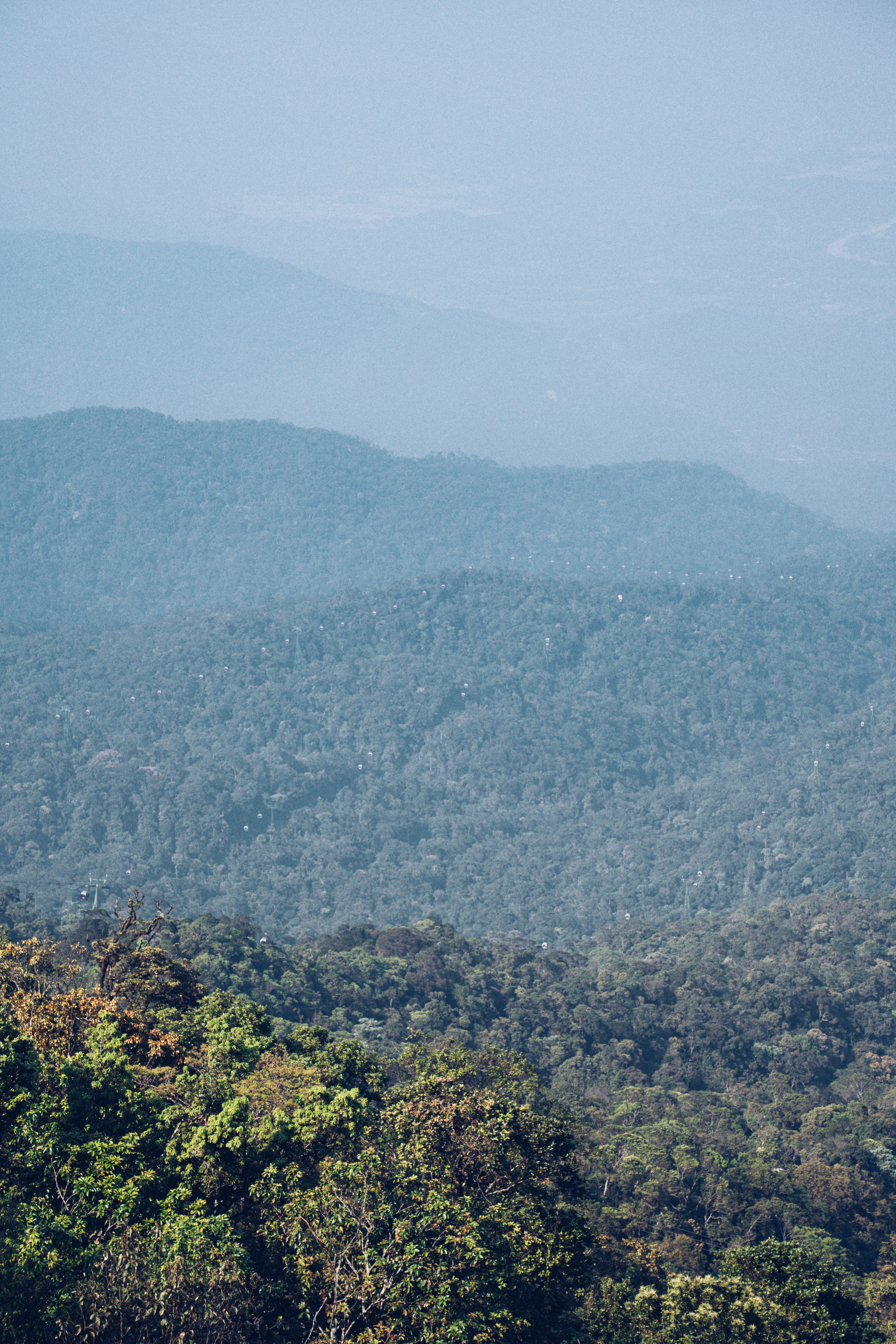 Scenic View of Mountains and Forest · Free Stock Photo