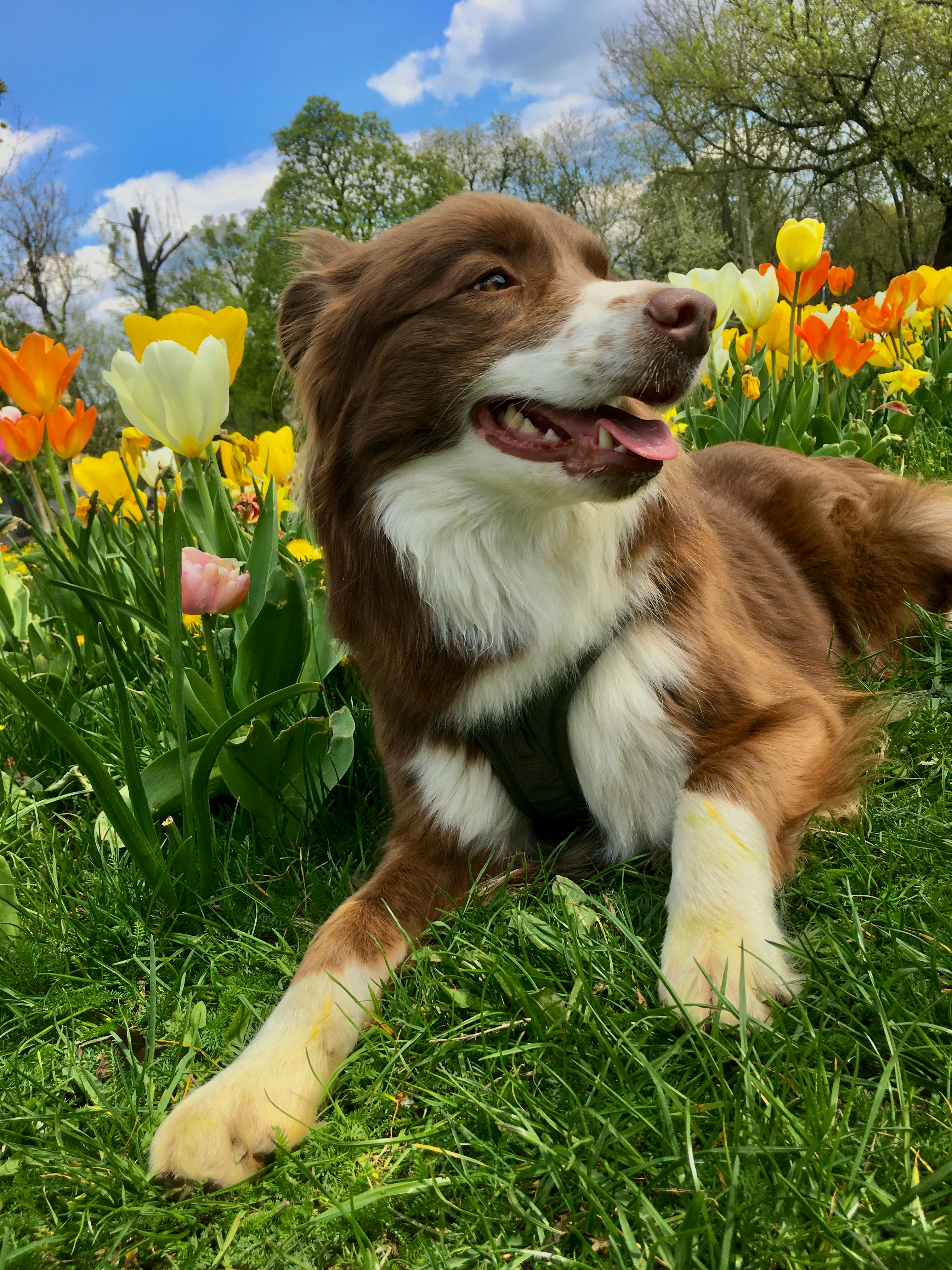 OK, I'll Pose Here For a Second by Sun Pixel Photography