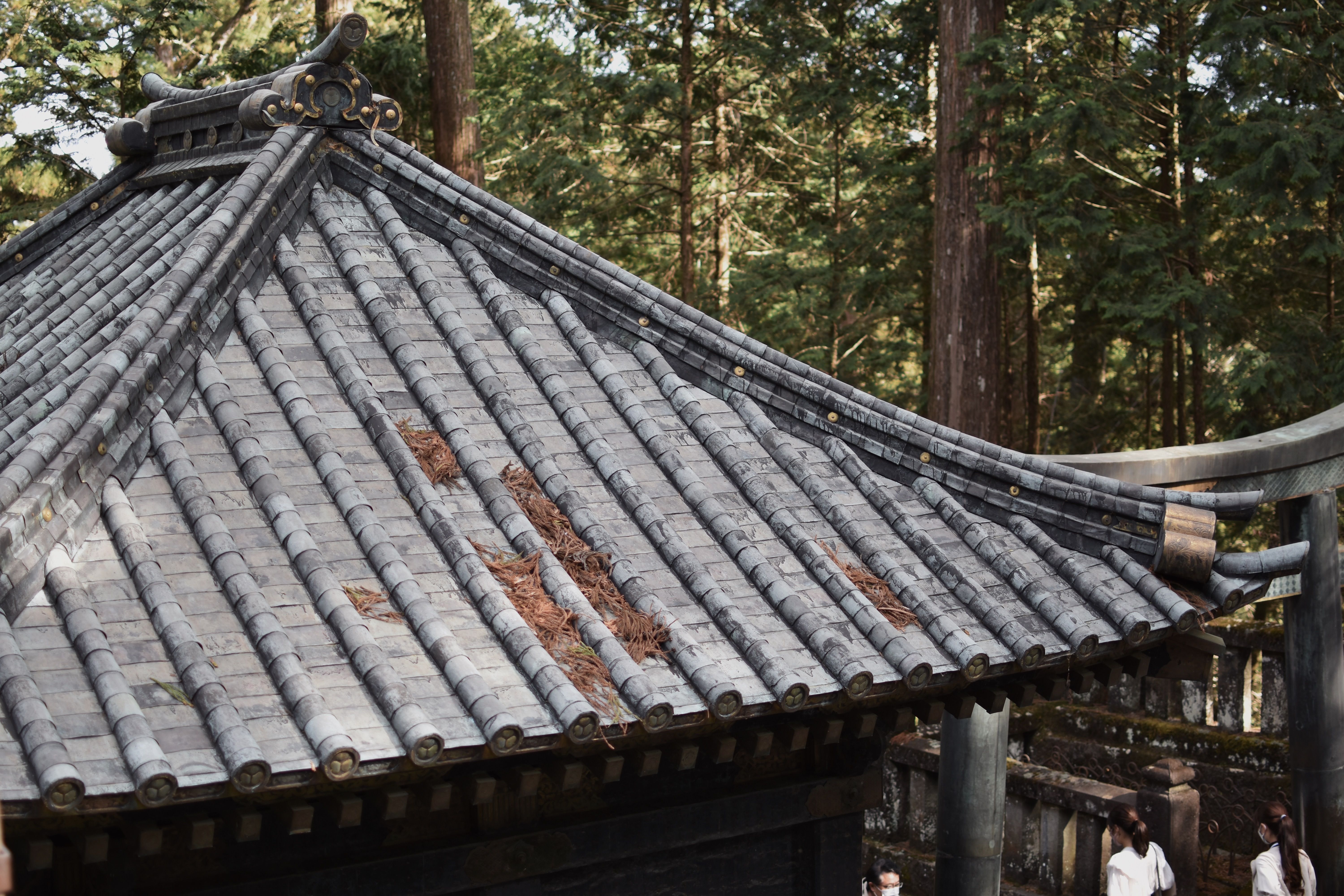 Rooftop of a Traditional Korean House · Free Stock Photo