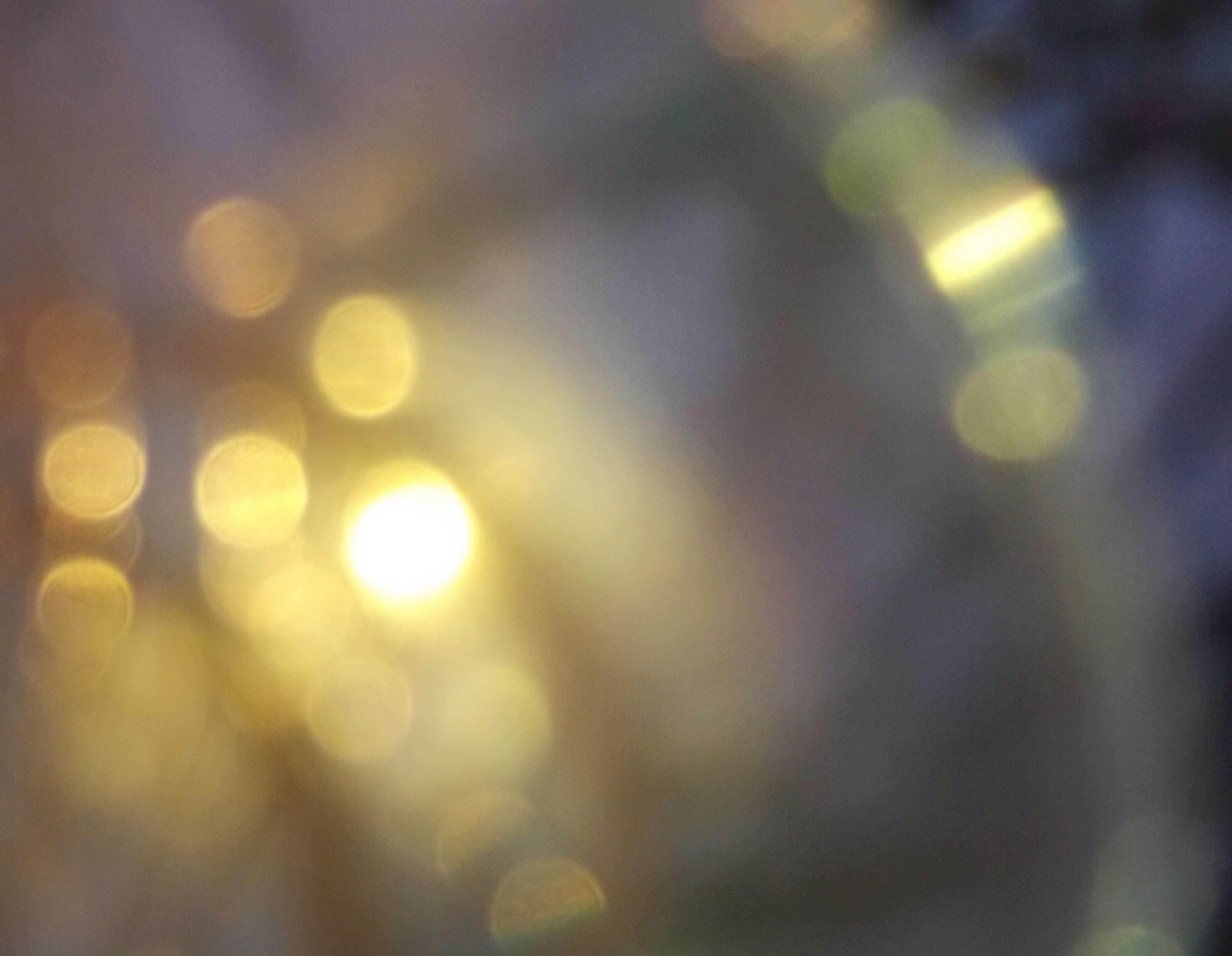 Free stock photo of blur, blurred, garden lights