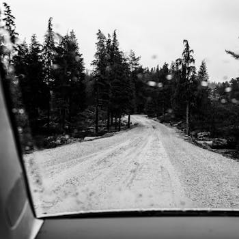 Black and white view of a forest road through a car window on a rainy day.