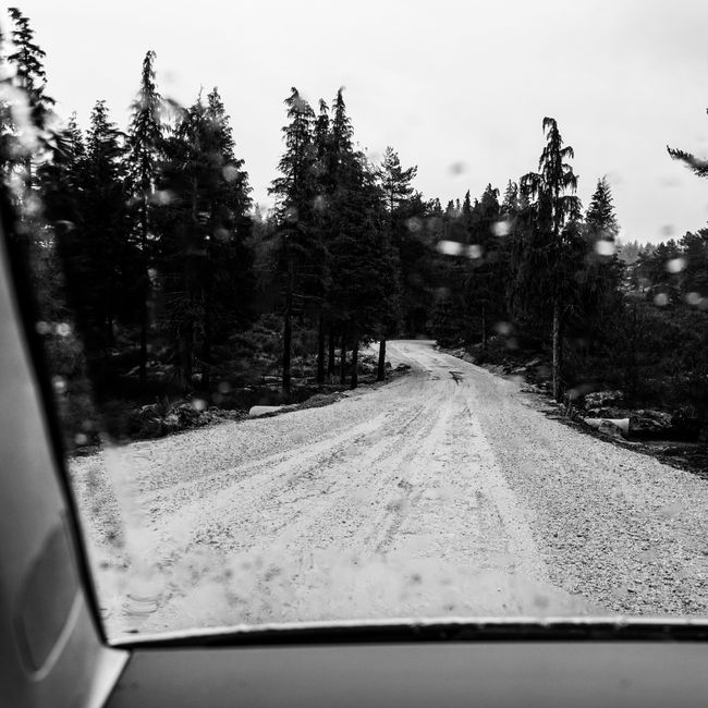 Black and white view of a forest road through a car window on a rainy day.