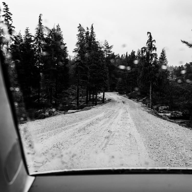 View From Car Window On Road In Forest In Rain