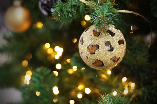 Foto d'estoc gratuïta de arbre de Nadal, bola de Nadal, decoració