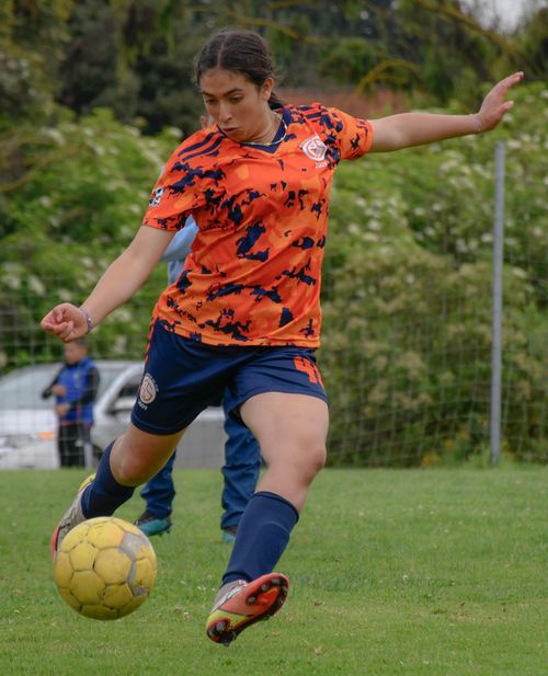 Free A woman soccer player in action kicking the ball during an outdoor game. Stock Photo