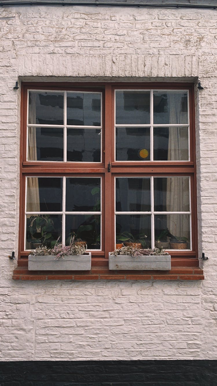 Flowerpots On Windowsill