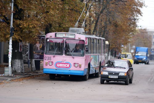 A pink and blue bus driving down a street
