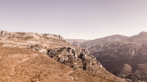 açık hava, ağaçlar, ahşap iskele içeren Ücretsiz stok fotoğraf