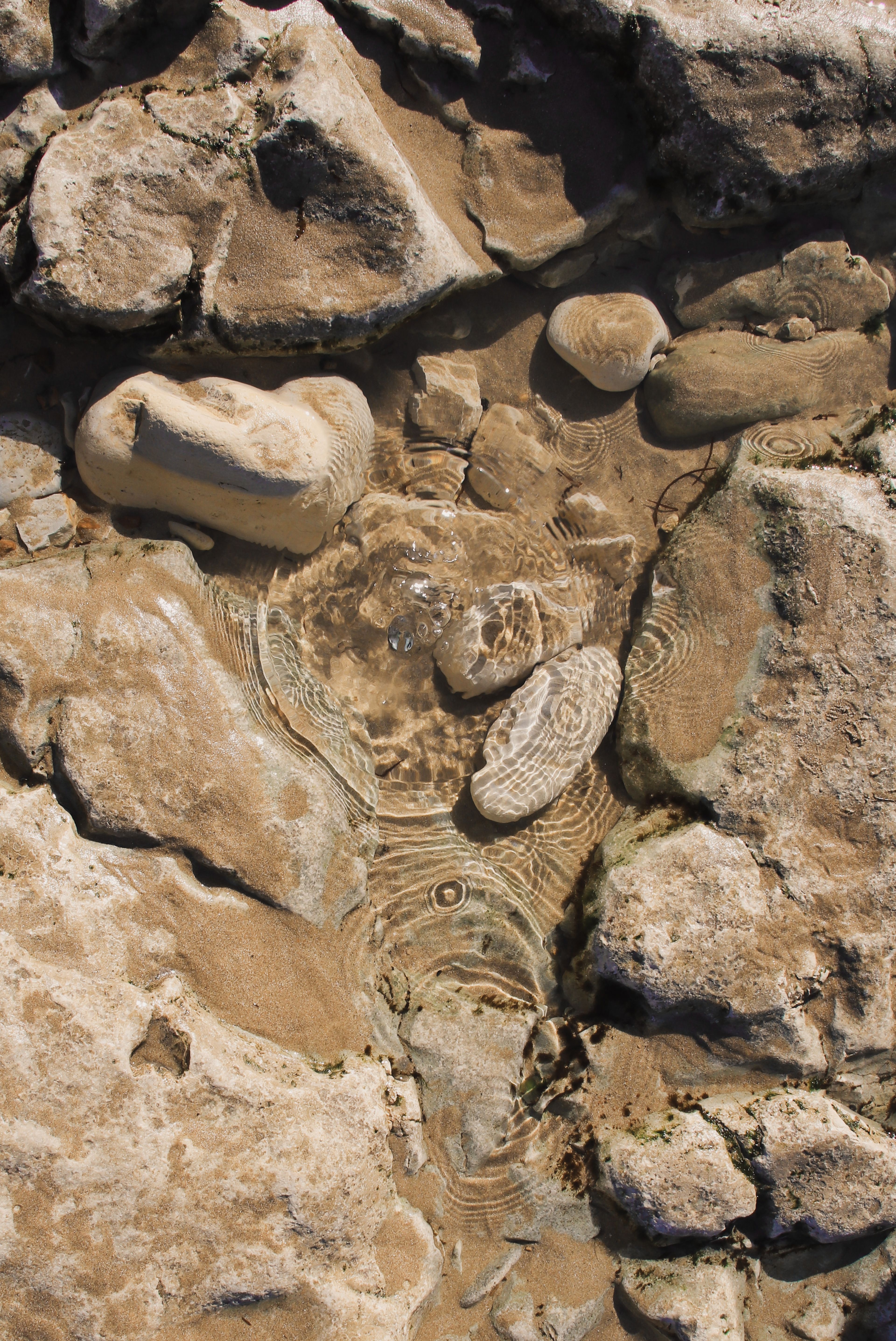 Rocks on Beach · Free Stock Photo