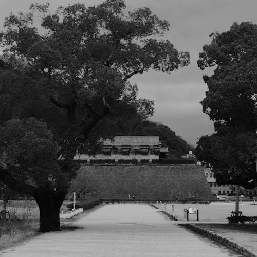Black and White Picture of a Temple and a Park 