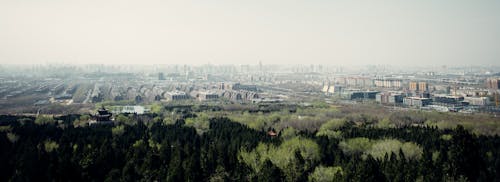 Panoramic View of the City and a Park 