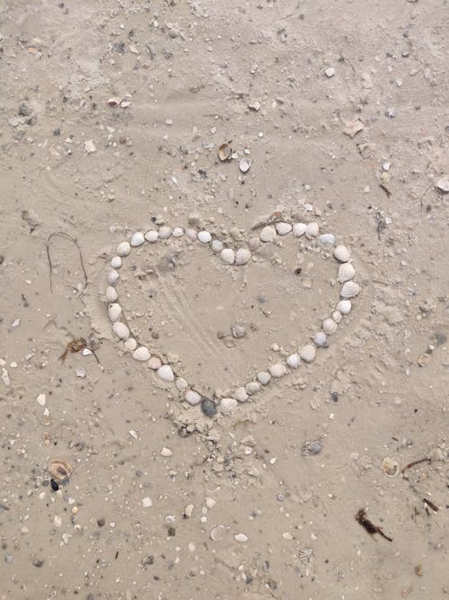 shell heart in the sand