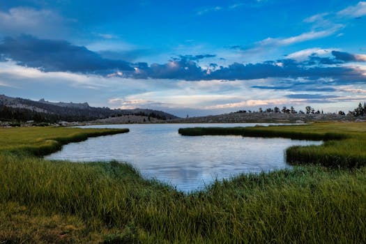 Peaceful lake surrounded by lush green grass and mountains under a vibrant blue sky.