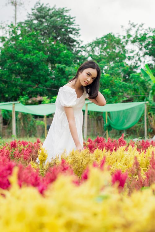 Free Woman in a white dress posing in a colorful flower field in San Pablo City, Philippines. Stock Photo