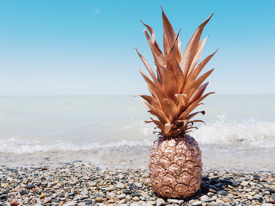 Which fruit has 90% of water?