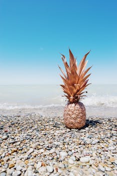 蓝天下的卵石沙滩上，有一片迷人的海景和一株玫瑰金菠萝